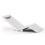 Avayah Outdoor Chaise Lounge