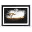 Giraffe in Tanzania - Picture Frame Graphic Art Print-56863271-56863274