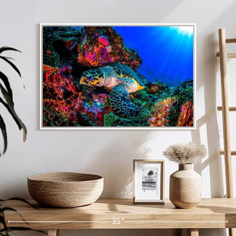 Tortue océan monde, 25 po x 17 po, Cadre flottant blanc