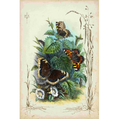 Victorian Butterfly Garden IV