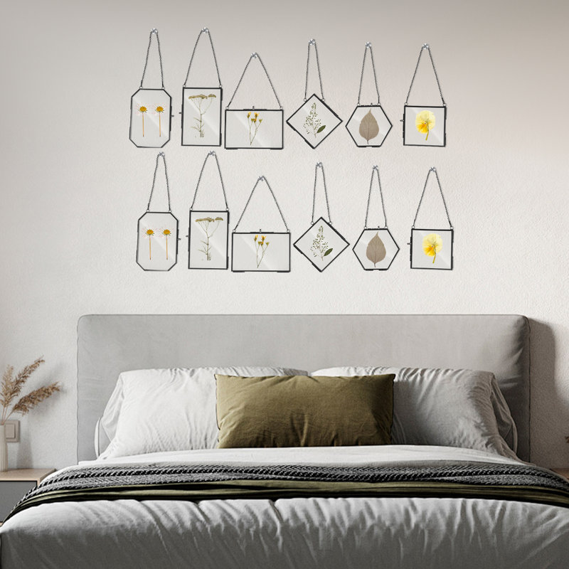 12 pièces, cadre de présentation en verre suspendu avec chaîne pour spécification de plante séchée, décoration murale, Noir