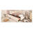 Twin Size Upholstered Daybed with Pull-Out Trundle, Beige Velvet and Metal Frame