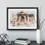 Trevi Fountain in Rome Vol.1 - Picture Frame Graphic Art-62807977-62807978