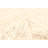 Sienna Tan Rug 5'0" x 8'1"