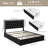 Athanasius Faux Leather Platform Bed with LED Lighting and Drawers-1356800846-1348519638