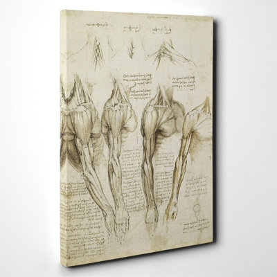 Leonardo Da Vinci - Wrapped Canvas Painting