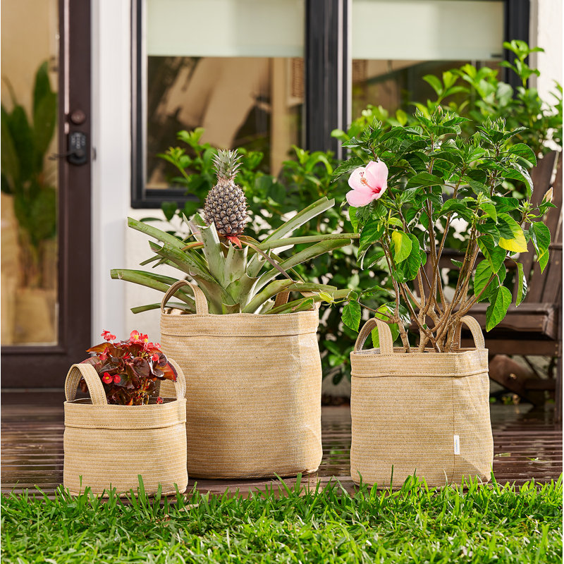 Ensemble de jardinière en tissu robuste et respirant, H 7 po x l 10,5 po x P 10,5 po, Sable du désert, 1