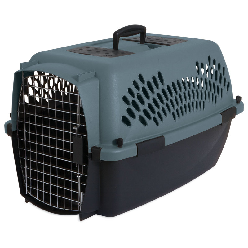 Small Airline Approved Blue and Black Plastic Pet Carrier
