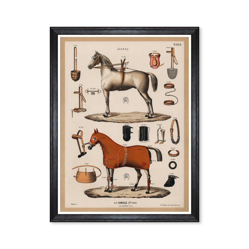 THE RIDING EQUIPMENT I