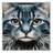 Washable Russian Blue Cats Area Rug-1640297094