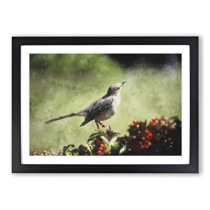 Mockingbird - Picture Frame Graphic Art, 48cm H x 65cm W x 2cm D, Black