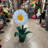 Small White Daisy In Pot Flower Statue