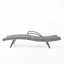 Chaise longue d'extérieur (ensemble de 2)