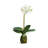 PHALAENOPSIS ORCHID DROP-IN 15" Set of 2