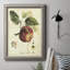 «Tuscan Fruits I», reproduction d'art sur toile-1764096560
