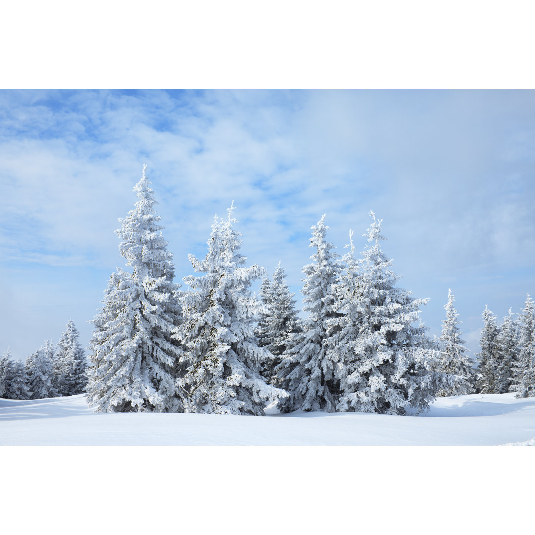 Winterwald von Borchee - Druck auf Leinwand ohne Rahmen