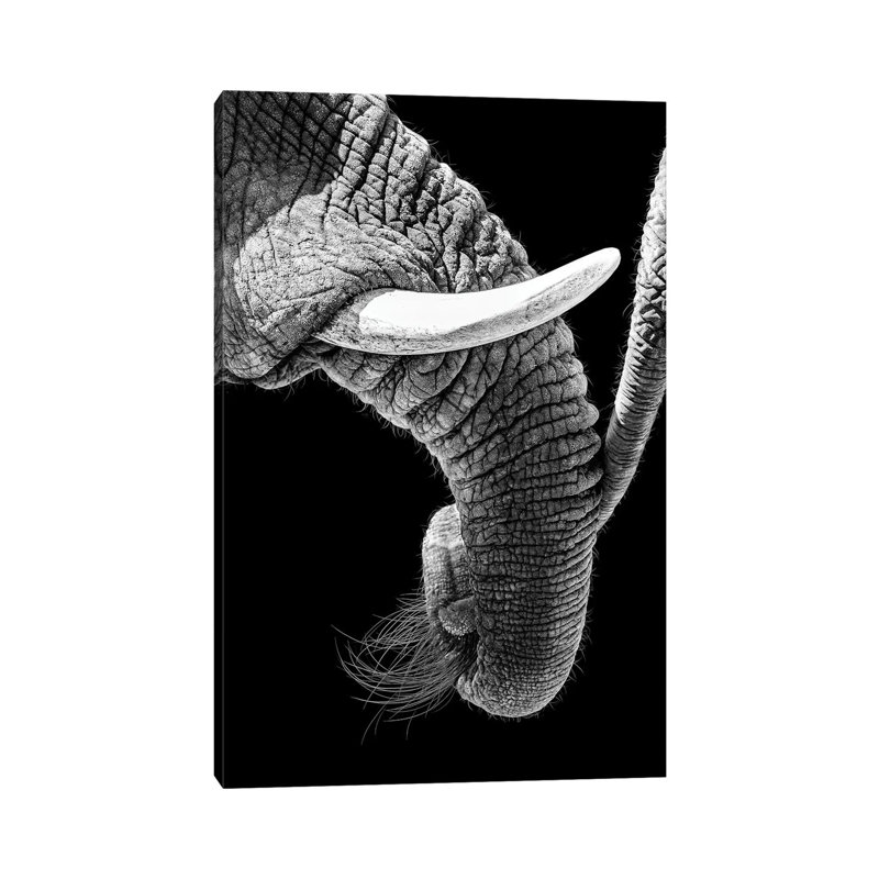 African Elephant Family Bonding by Susan Richey - Gallery-Wrapped Canvas Giclée on Canvas, 20.32 cm H x 30.48 cm W, Canvas