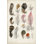Plumes d'oiseaux antiques III - peinture sur toile tendue