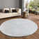 Hiroaki Cozy Faux Rabbit Fur Area Rug Machine Washable Rug in Gray