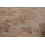Tapis oriental Oushak 10x14