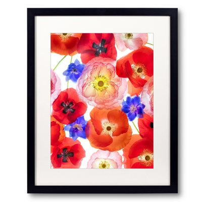 Red, Pink, and Blue Framed Graphic Art by Harold Davis