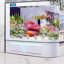 Aquarium 95-104 gallons-129676017-129676018