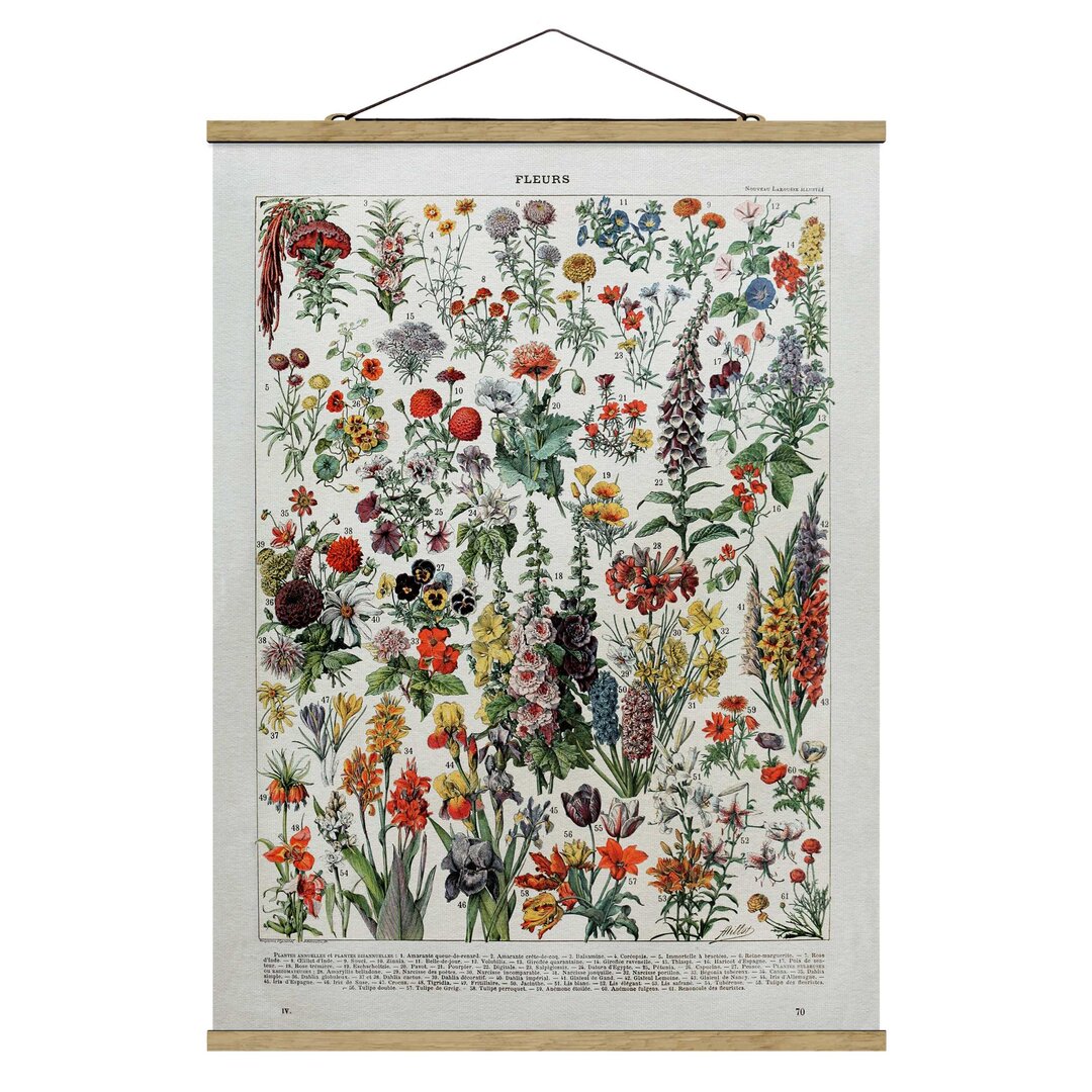 Wandbild Vintage Educational Board Blumen IV