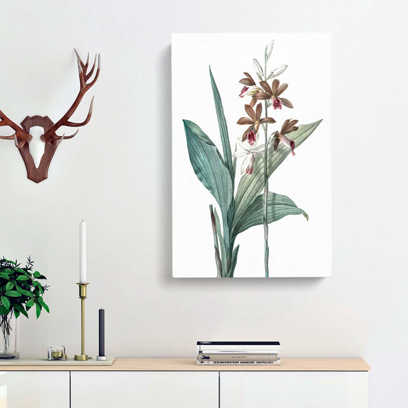 Limodorum Orchid Flowers by Pierre-Joseph Redoute - Wrapped Canvas, 50cm H x 35cm W x 3cm D
