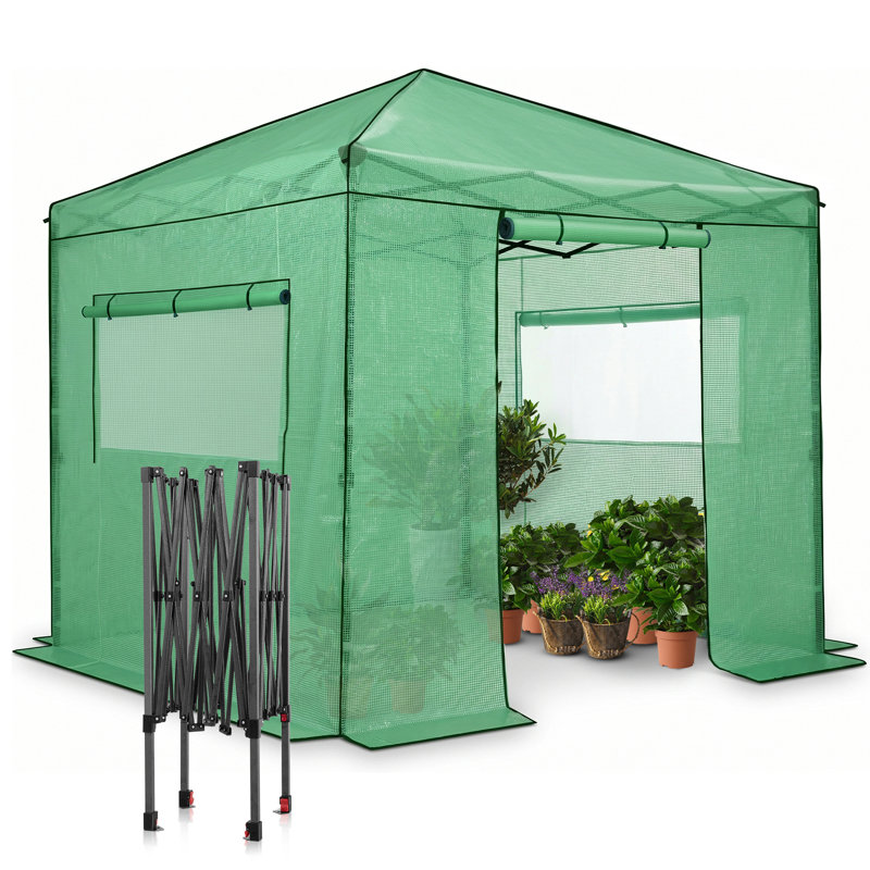 Serre Pop Up Green l 8 pi x P 8 pi, Vert