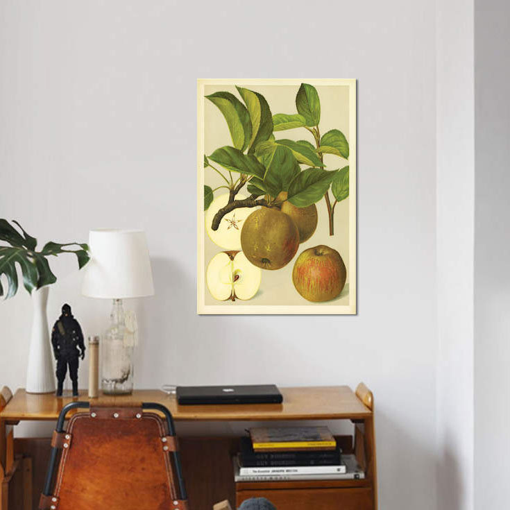 «Russet Apples», reproduction sur toile, H 26 po x l 18 po x P 1,5 po, Pas de tapis, Toile tendue