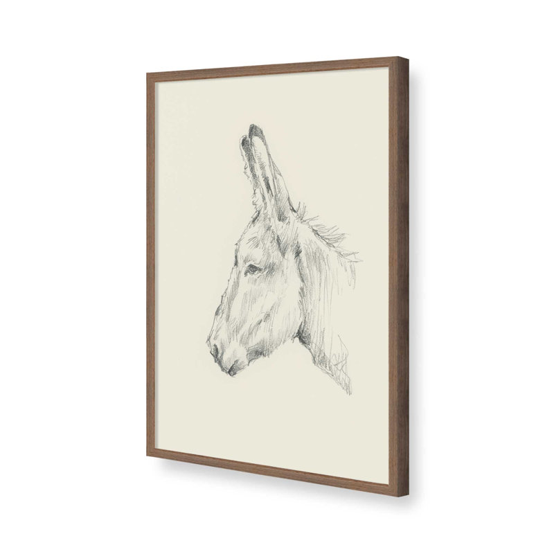 «Donkey Study II» par Ethan Harper, reproduction d'art sur toile, Impression sur cadre ouvert sans papier mat, Brun