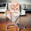 Croquis de chaton aquarelle rouge - coussin imprimé animal-29893481-29893477