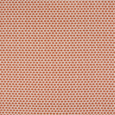 Tissu de couleur Festival Festival