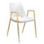 Chaise de salle à manger-444601509-444601531