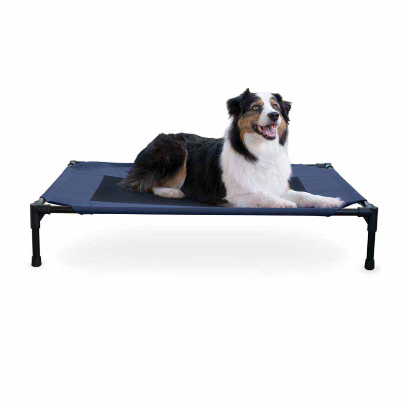 Lit de camp pour animal de compagnie Original, Grand (l 42 po x P 30 po x H 7 po), Bleu et noir