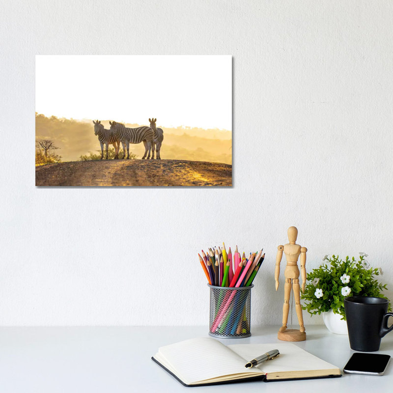 Zebras In Africa by Anders Jorulf - Wrapped Canvas Print, 20.32cm H x 30.48cm W x 1.905cm D