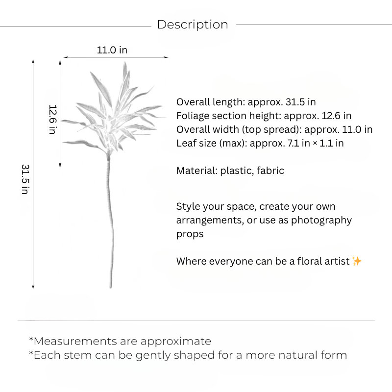 Tige de Dracaena panachée - 31,5 po, [D] 12 Stems