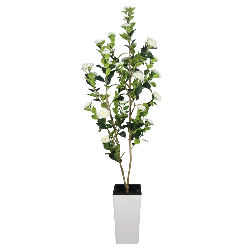 Plant, 180cm H x 30cm W, White