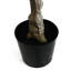 Andrick 70cm Faux Tree in Pot