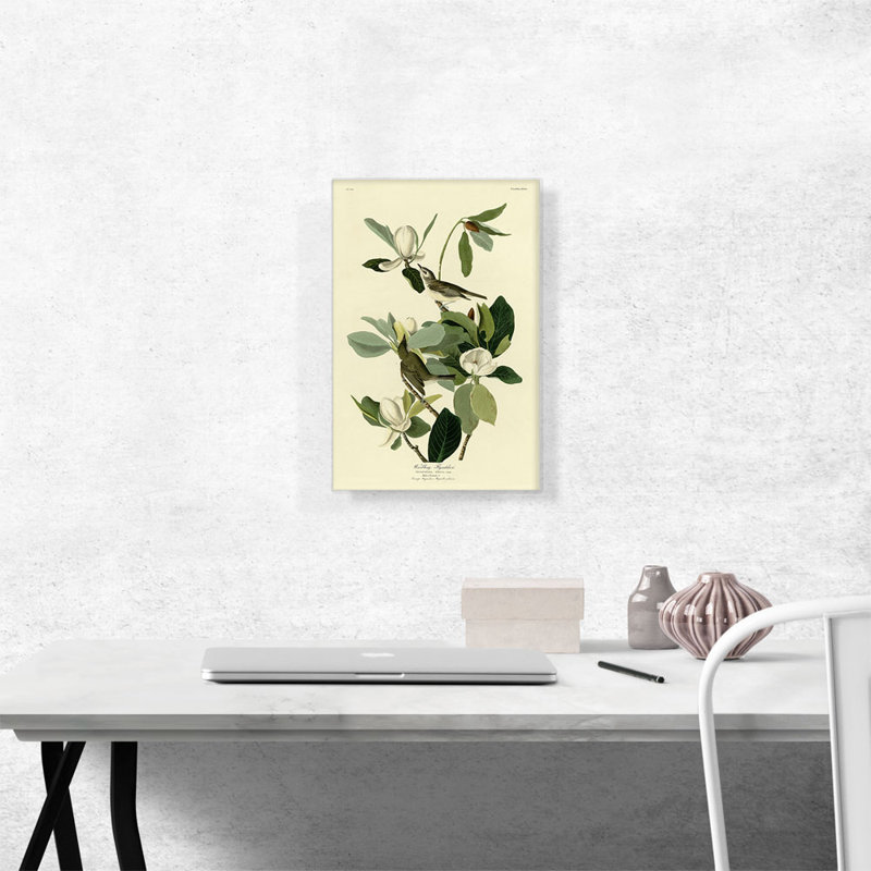 Reproduction d'art sur toile tendue, "Warling Flycatcher" par James Audubon, H 18 po x l 12 po x P 1,5 po