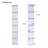 7-tier Led Wall Shelf-1472262586