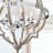 Freemont 6-Light Dimmable Geometric Chandelier-1356825940-1356825937