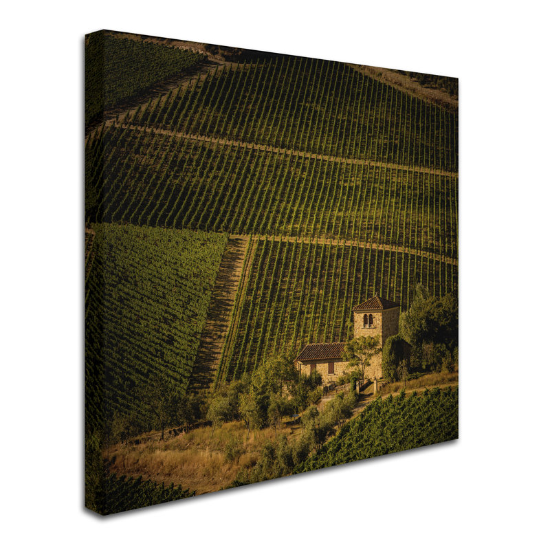 «Vineyard» par Leeth, reproduction de photo sur toile tendue, H 14 po x l 14 po x P 2 po