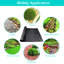 Tapis de jardin 4Ftx50ft-56522315