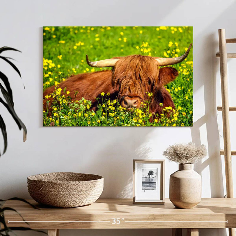 Brampt Red Highland Cow, 16" H x 24" W