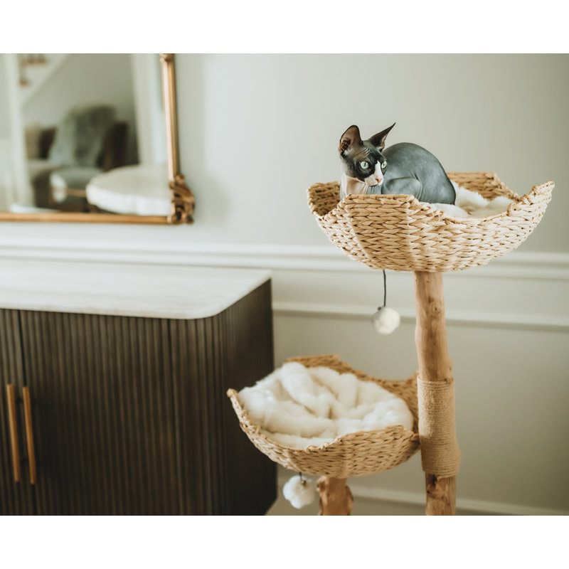 Seeman 45.5'' H Cat Tree, Alpine White