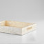 Triton Shell / Capiz Decorative Tray-1863748262-1863748263