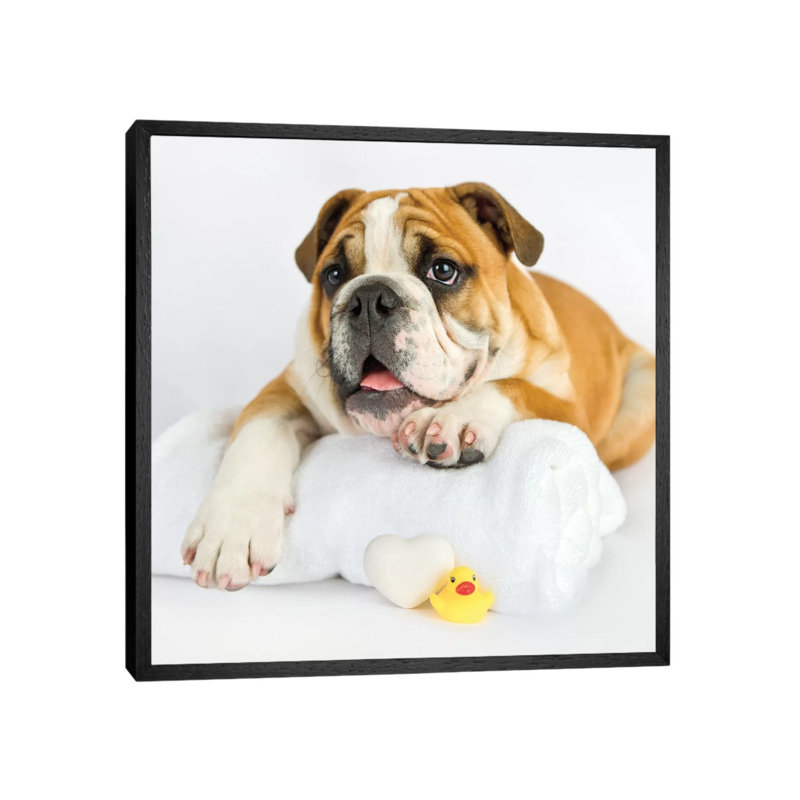 Donald by Rachael Hale - Print on Canvas, 66.04 cm H x 66.04 cm W, Black Framed
