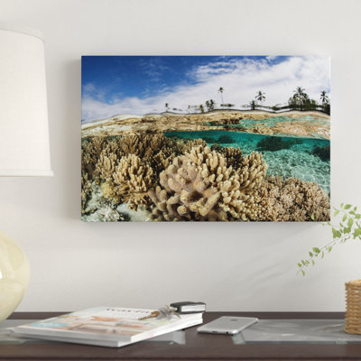" A Healthy Coral Reef Grows In The Solomon Islands I " by Ethan Daniels