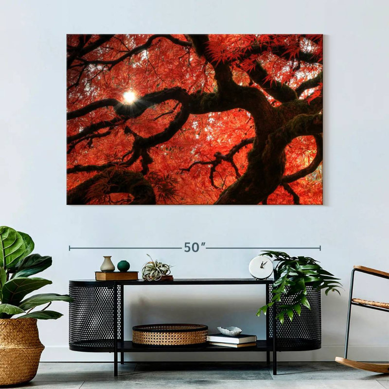 Harnek Red Maple Tree, 34" H x 51" W